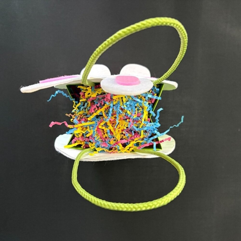 Easter Bunny Felt Gift Bag Basket Papyrus White Green Pink Carrot Egg Hunt Favor - Picture 7 of 7